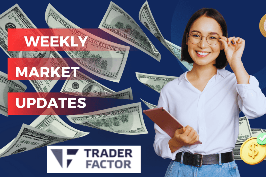 Weekly Market Updates in Trader Factor