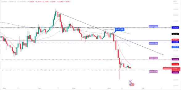 altcoin value