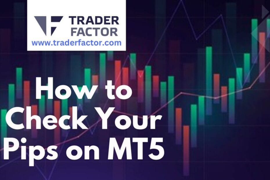 How to Check Your Pips on MT5