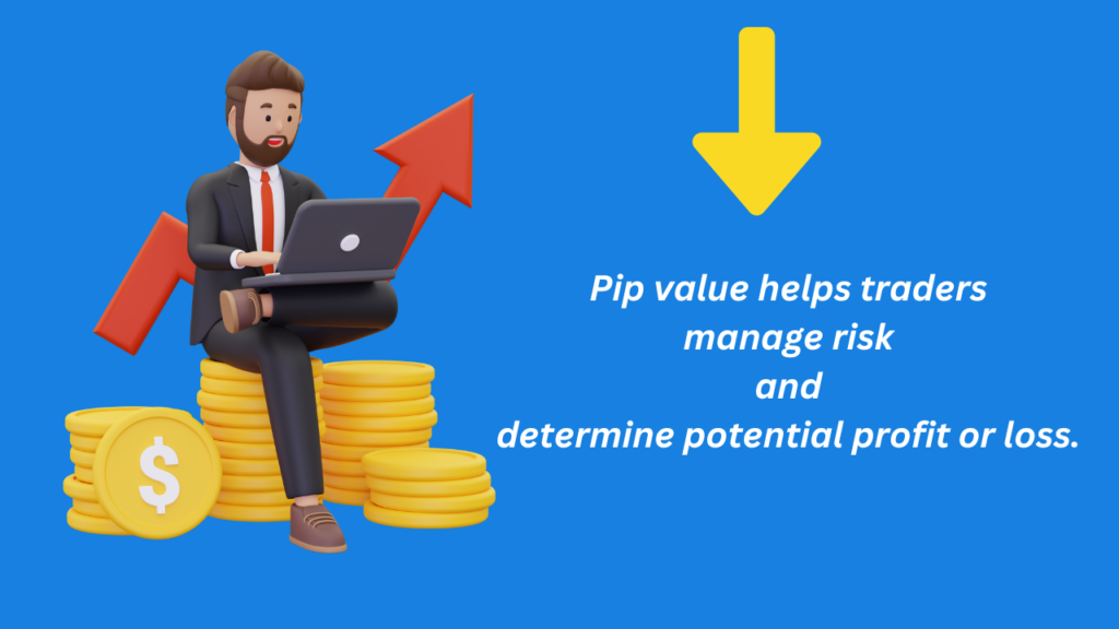 What is The Risk of Pip in Forex