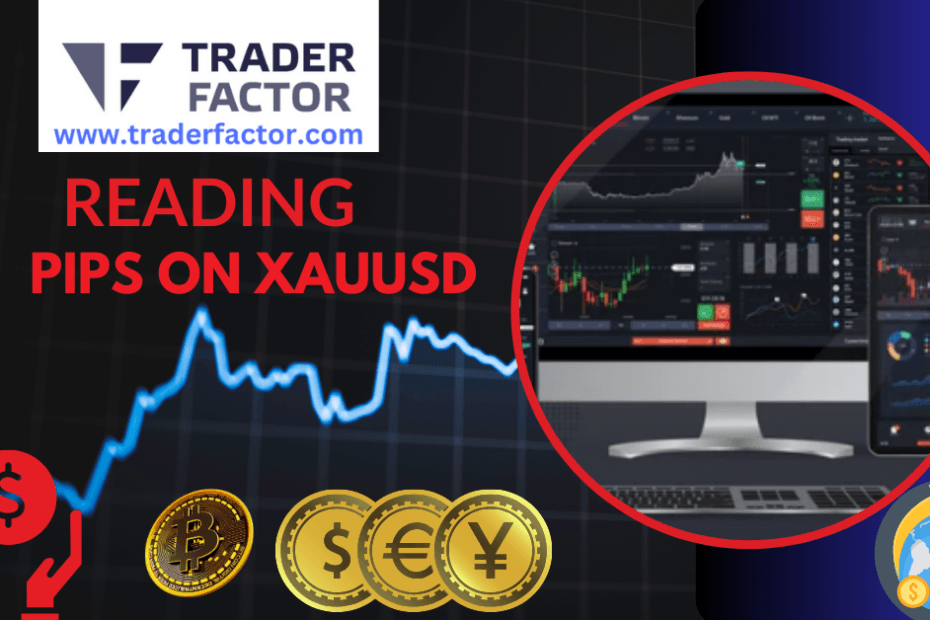 Reading Pips on XAUUSD
