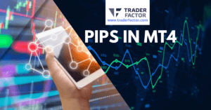 Viewing Pips in MT4 A Quick Guide-TraderFactor