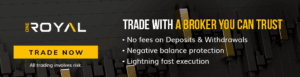 Offering an in-depth look at OneRoyal's trading conditions and safety measures, our 2024 review leaves no stone unturned in assessing this leading online platform.