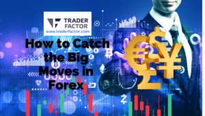 To catch the big moves in Forex, you must understand the market trends’ key indicators and signals.