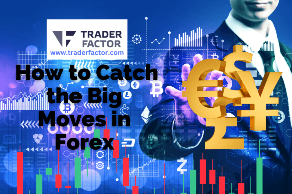 To catch the big moves in Forex, you must understand the market trends’ key indicators and signals.