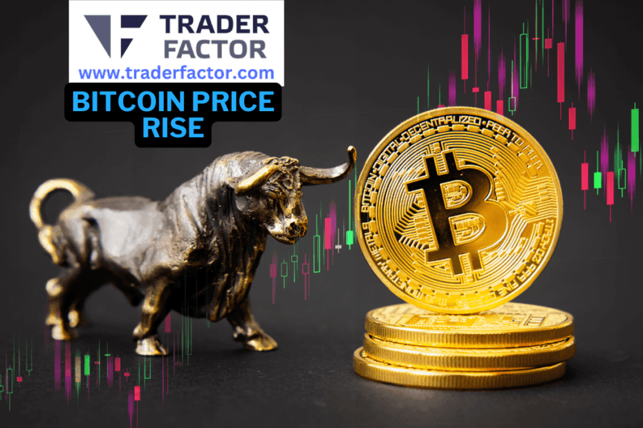 Bitcoin Price Rises After Soft U.S. Inflation Data