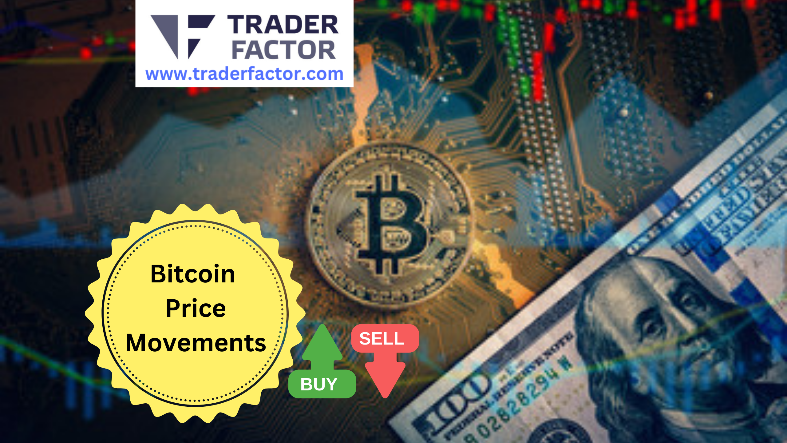 Bitcoin Price Movements Analysis