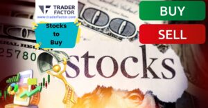 Best Stocks to Invest in 2024