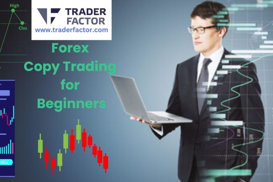 Forex Copy Trading for Beginners