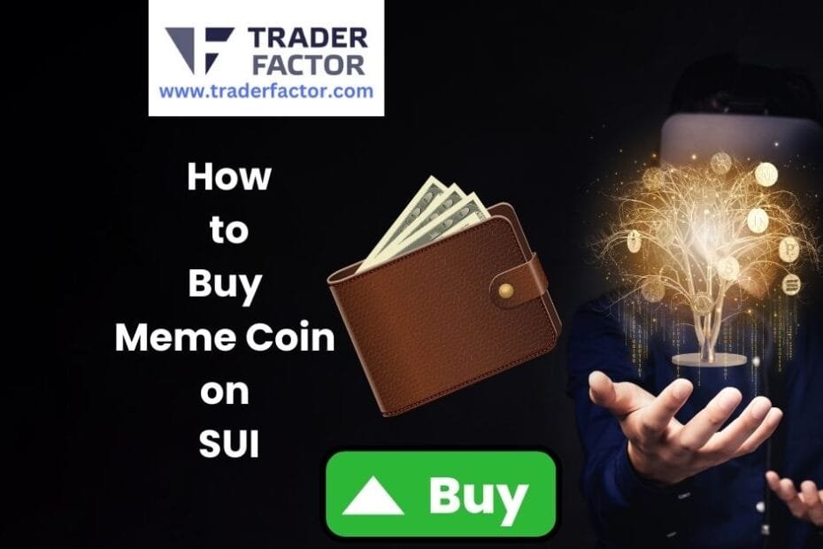 A Quick Guide on How to Buy Meme Coin on SUI