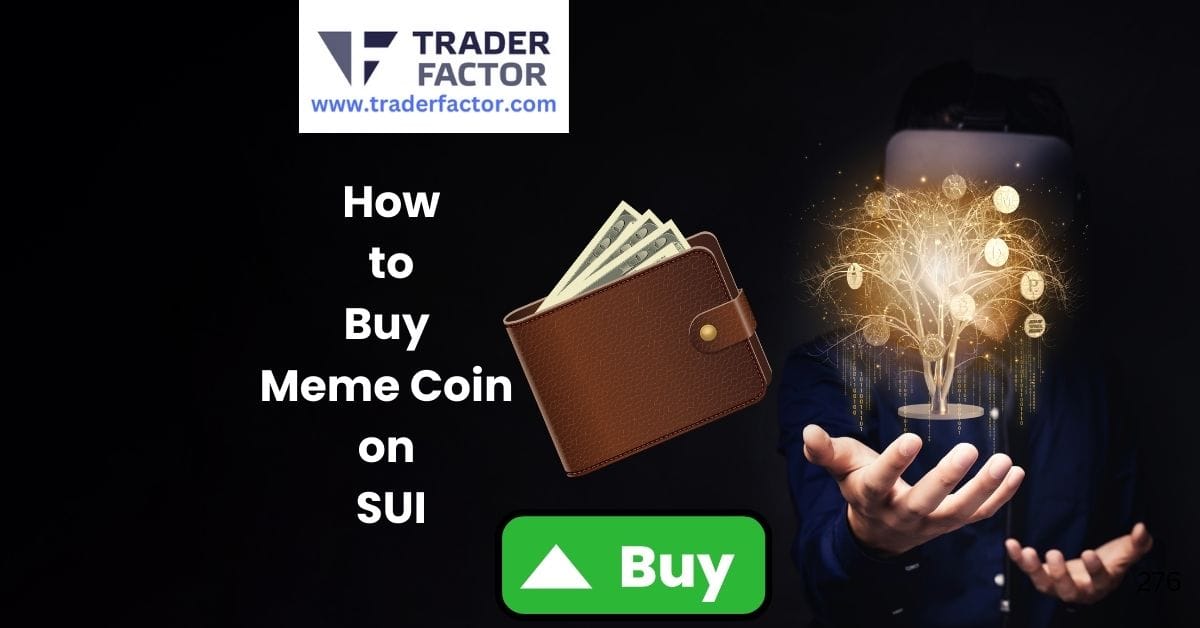 A Quick Guide on How to Buy Meme Coin on SUI