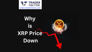 Alcoin News Today Why is XRP Price Down