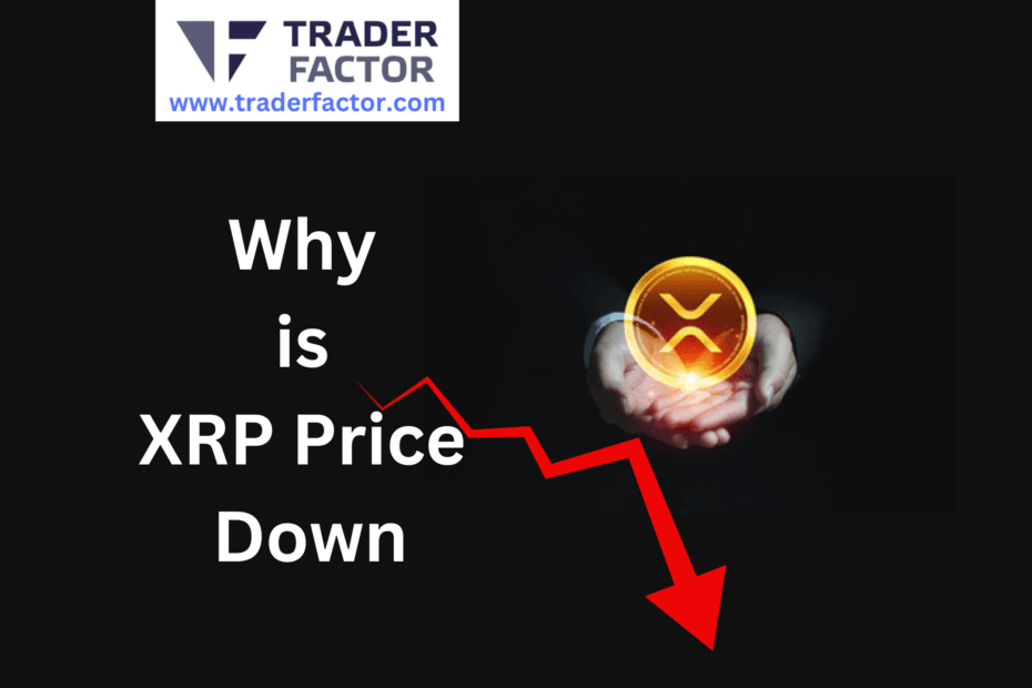 Alcoin News Today Why is XRP Price Down