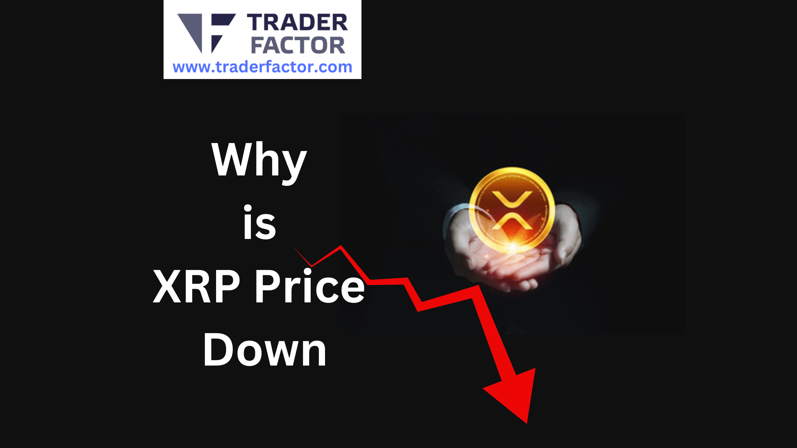 Alcoin News Today Why is XRP Price Down