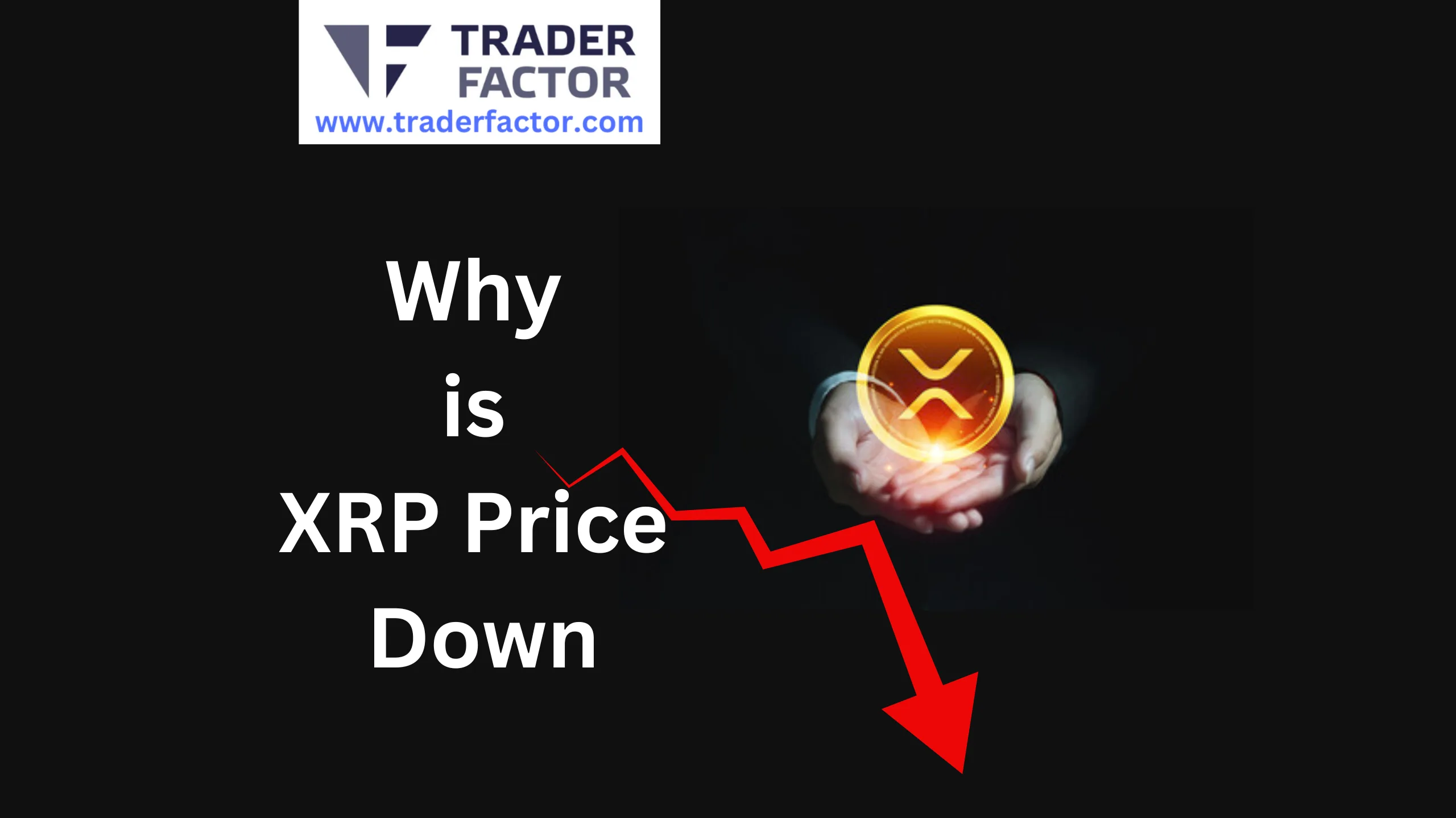 Altcoin News Today: Why is XRP Price Down