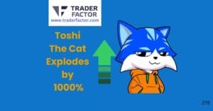 Toshi Meme Coin Explodes by 1000%, Here is Why