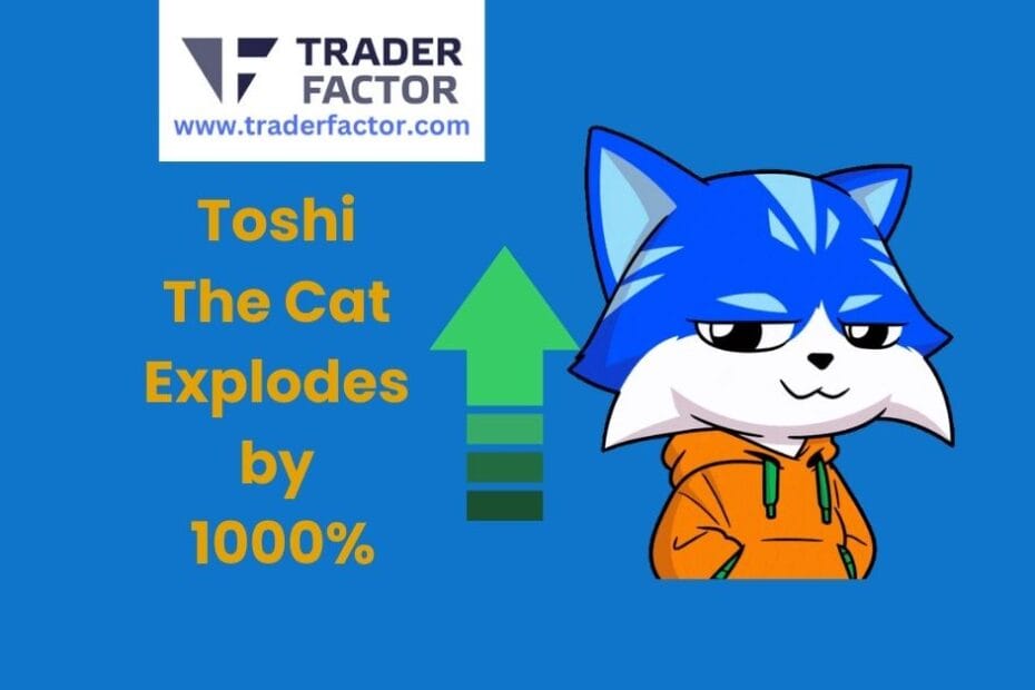 Toshi Meme Coin Explodes by 1000%, Here is Why