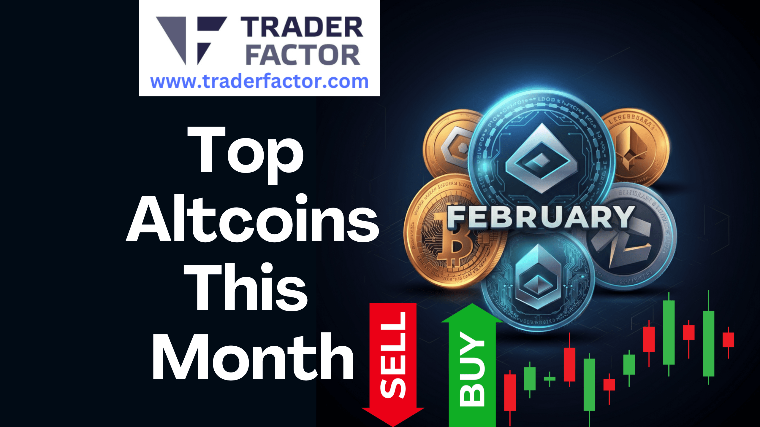 Are These the 10 Best Altcoins to Add to Your Portfolio this February