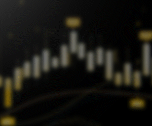 OneRoyal Animated Banner 300 x 250