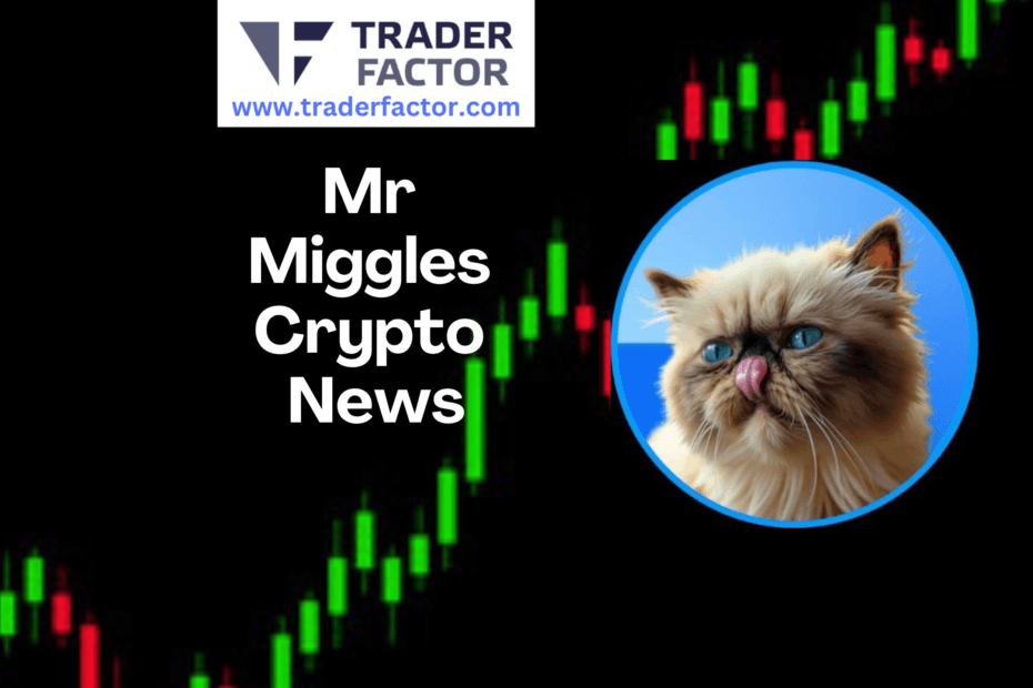 Mr Miggles(MIGGLES) Meme Coin Experiences Positive Momentum