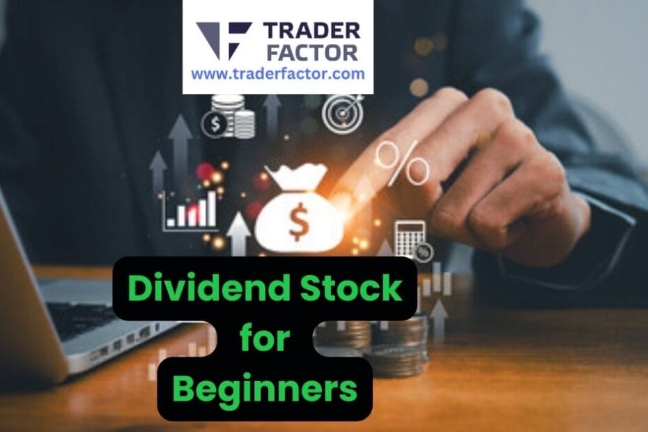 What is a Dividend Stock for Beginners