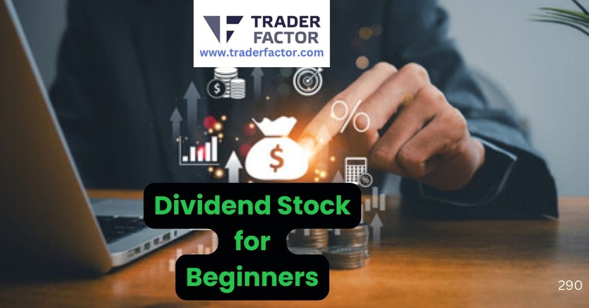What is a Dividend Stock for Beginners