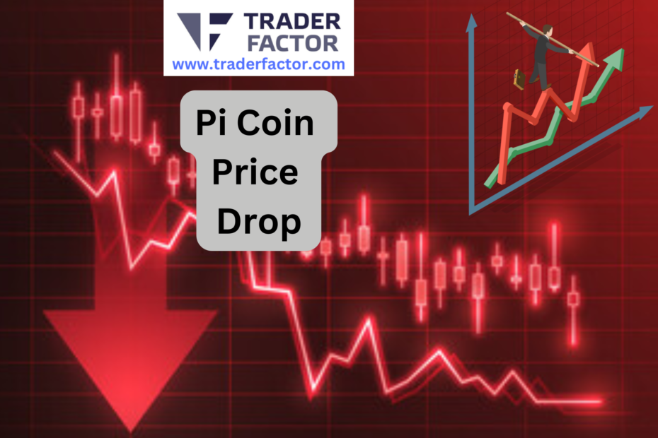 Crypto Investors Concerns Amid Pi Coin Price Drop