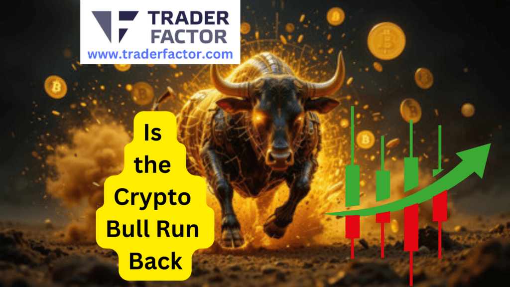 Is the Crypto Bull Run Back