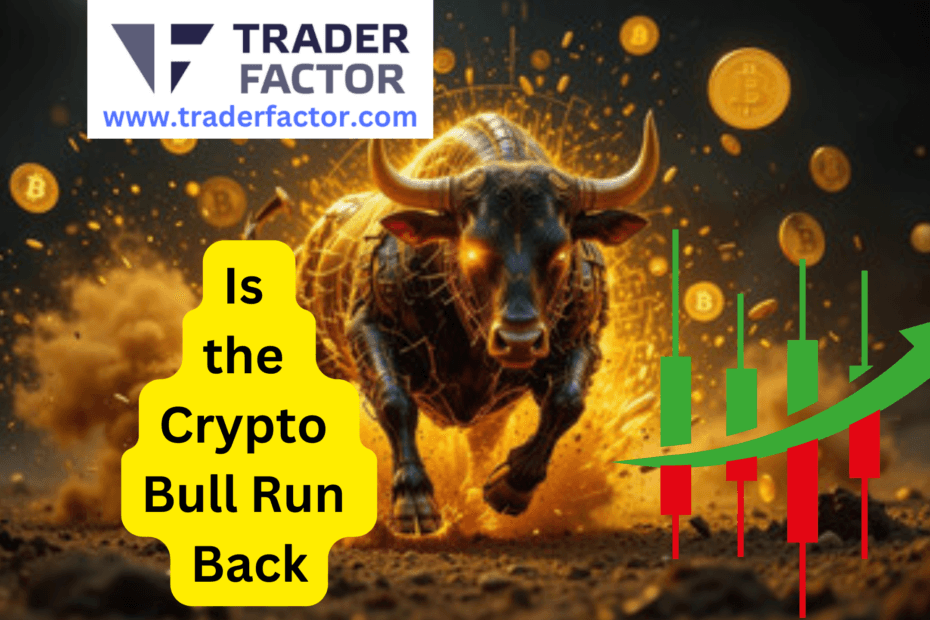 Is the Crypto Bull Run Back