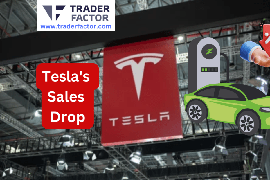 Tesla's Q1 Sales Drop Sparks Global Concern of a Possible Musk Effect-
