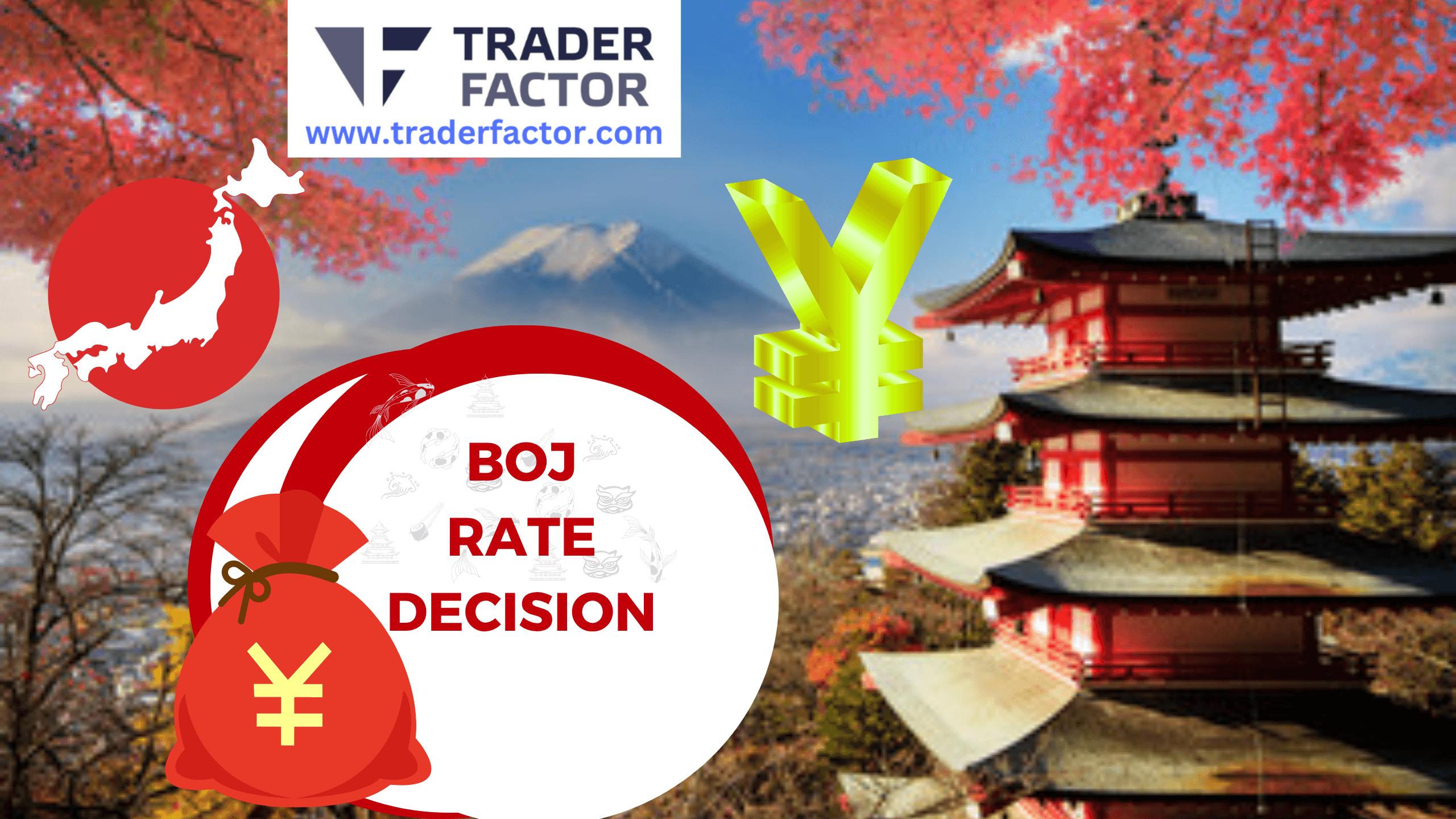 Bank of Japan Keeps Interest Rates Steady at 0.5%, Signals Slower Bond Reductions