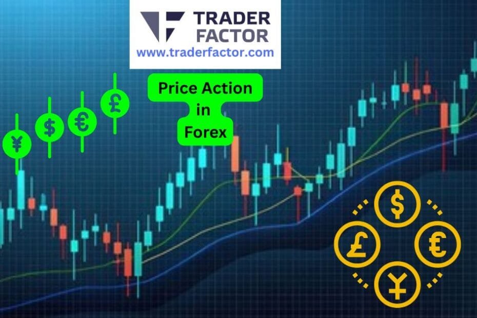 What is Price Action in Forex: A Guide for Beginners