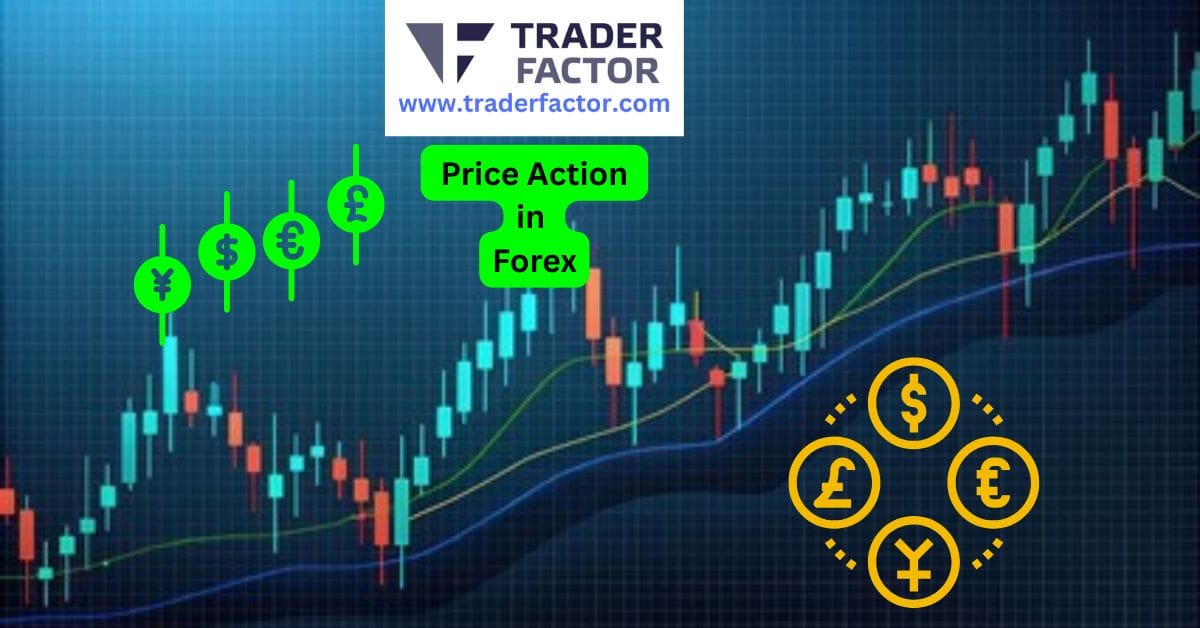 What is Price Action in Forex: A Guide for Beginners