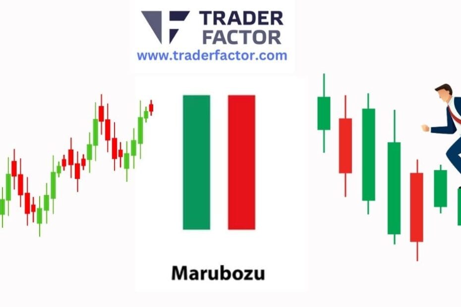 Marubozu Candlestick in Forex: How to Identify and Trade