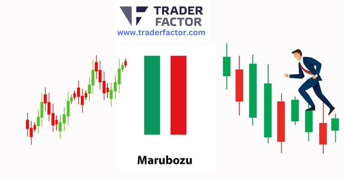 Marubozu Candlestick in Forex: How to Identify and Trade