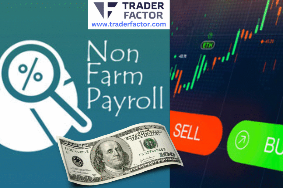 Traders Expectations Ahead of Non-Farm Payrolls Report (NFP)