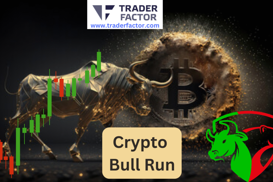 Is Bitcoin Showing Signs of Crypto Bull Run Continuation