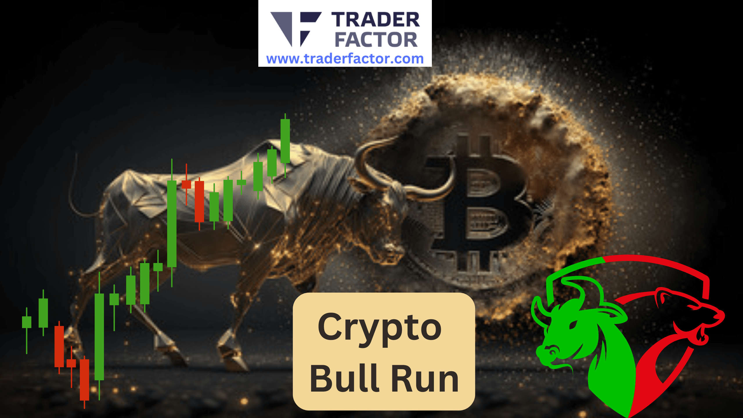 Is Bitcoin Showing Signs of Crypto Bull Run Continuation
