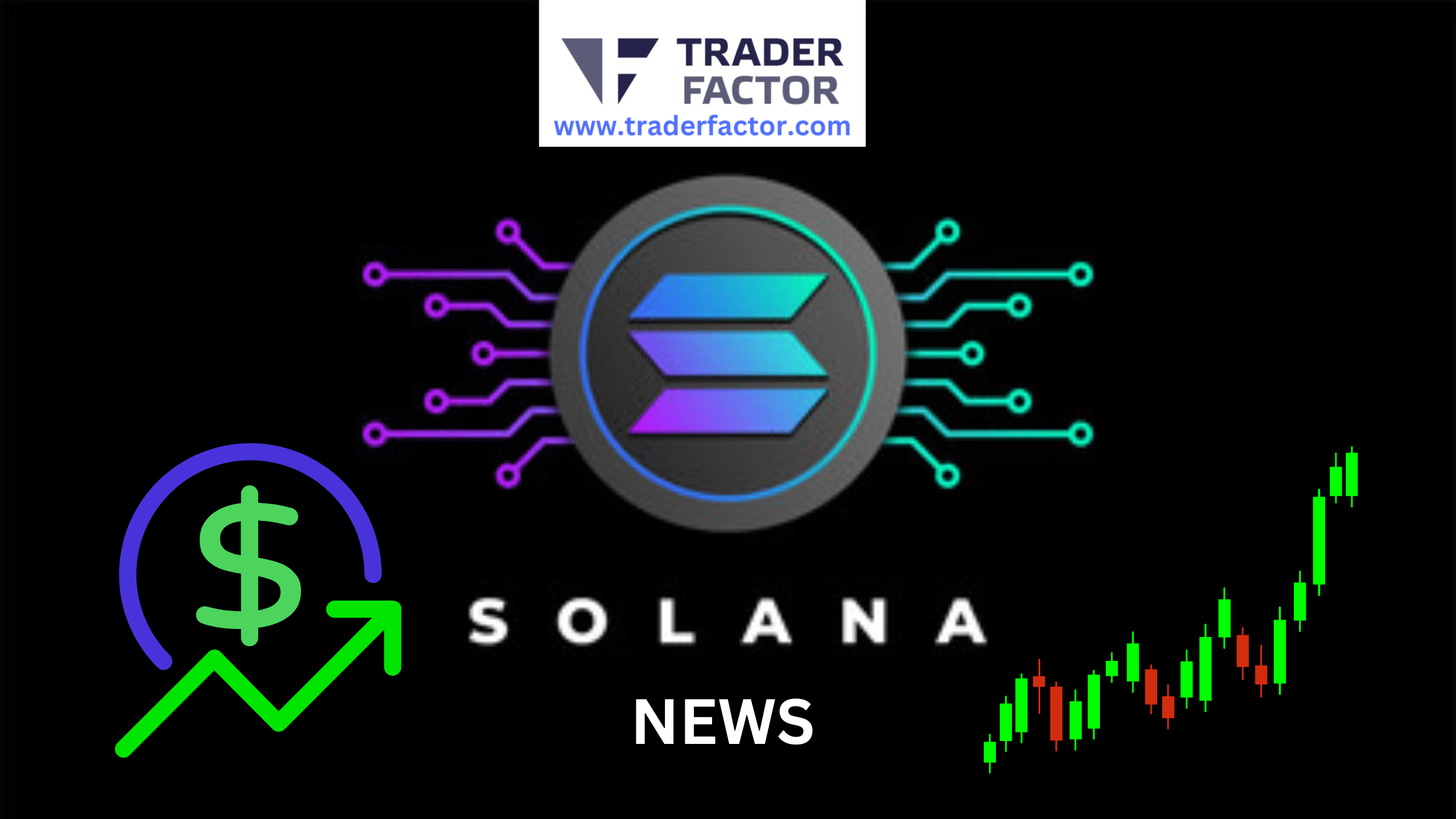 Solana Leads The Altcoin Season as Crypto Rally Gains Momentum