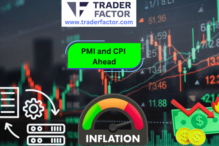 Market Volatility Ahead of PMI and CPI Data