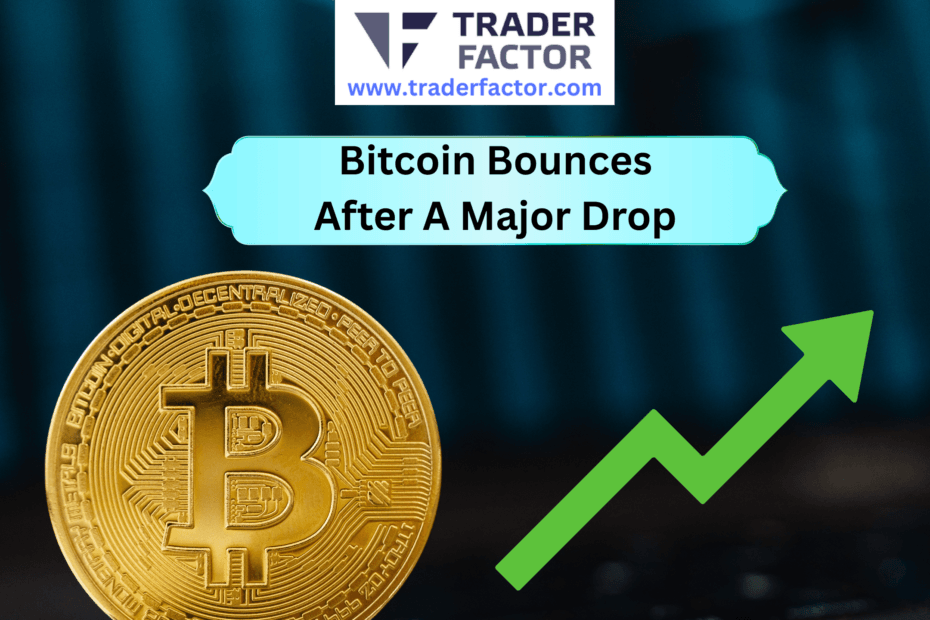 Bitcoin Rebounds After Steep Drop Below $73,000