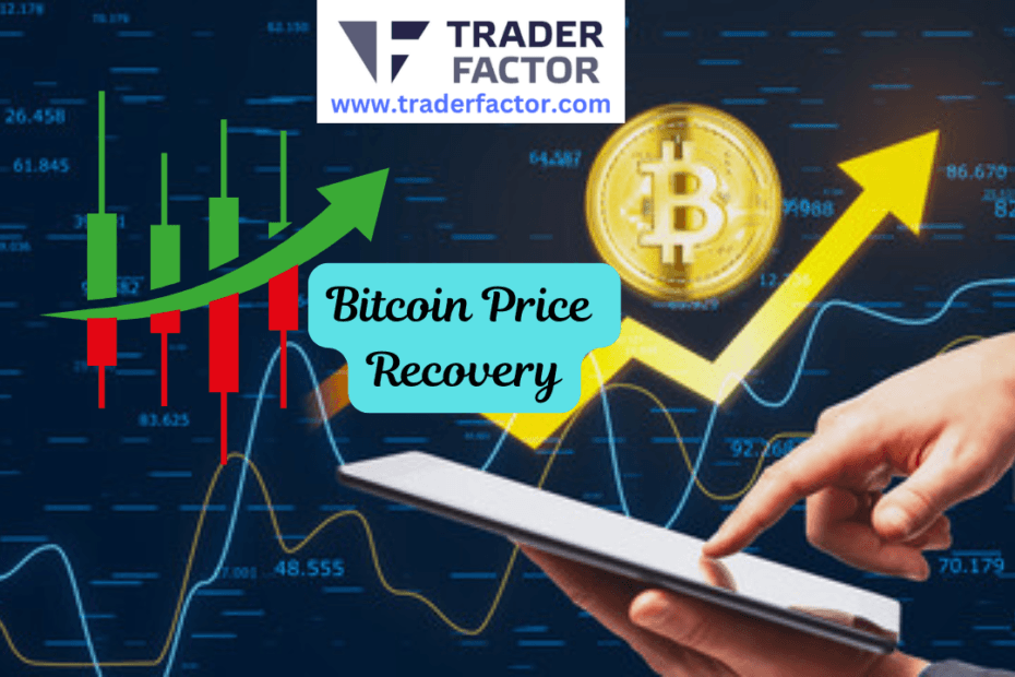 Bitcoin Rebounds Past $65,000 Amid Market Optimism-TraderFactor